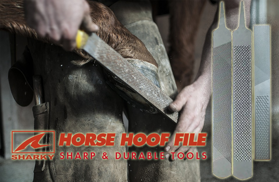 Horse Hoof Files